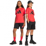 Набор футболка + шорты Adidas J BL T-SET thumbnav