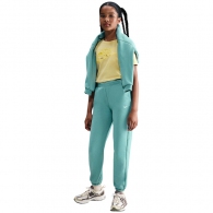 Брюки Nike G NSW TREND FLC CF PANT thumbnav