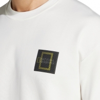 Футболка Adidas U NATGEO GF TEE thumbnav 3