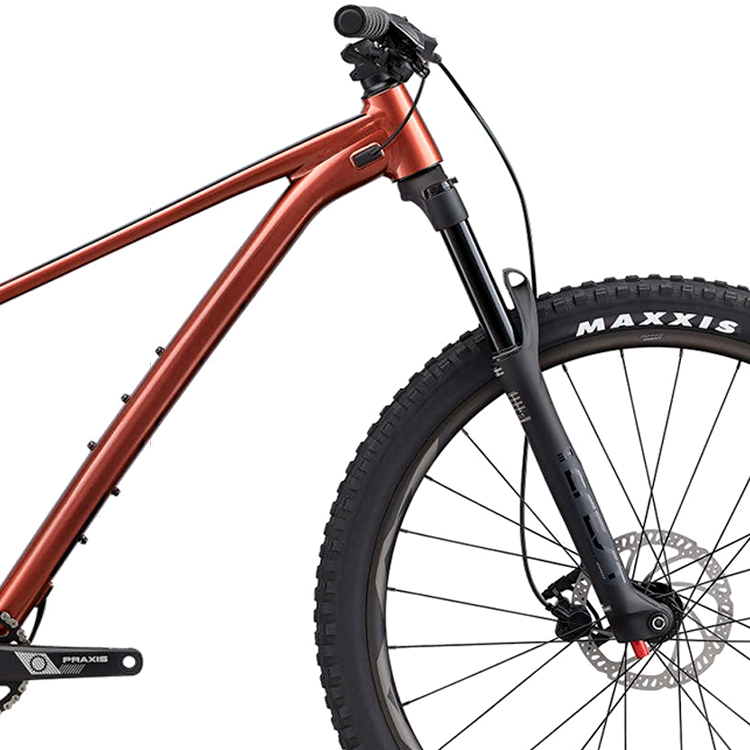 Велосипед горный Giant Fathom 29 2 Коричневый XL photo 5