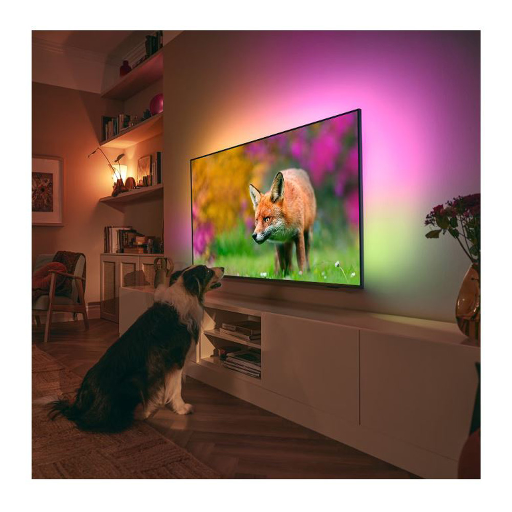 Televizor Philips 43PUS8518 / 43" / LED / UHD 4K photo 11