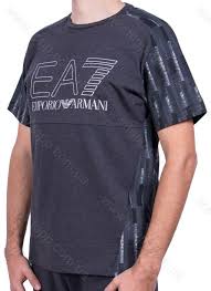 Футболка мужская EA7 EMPORIO ARMANI Train Evo Plus M Tee St L Серый photo 2