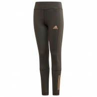 Panta-colanti Adidas YG TR HLD L TIG thumbnav