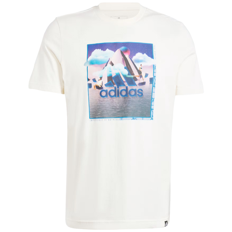Tricou Adidas M LANDSCAPE BOS photo 