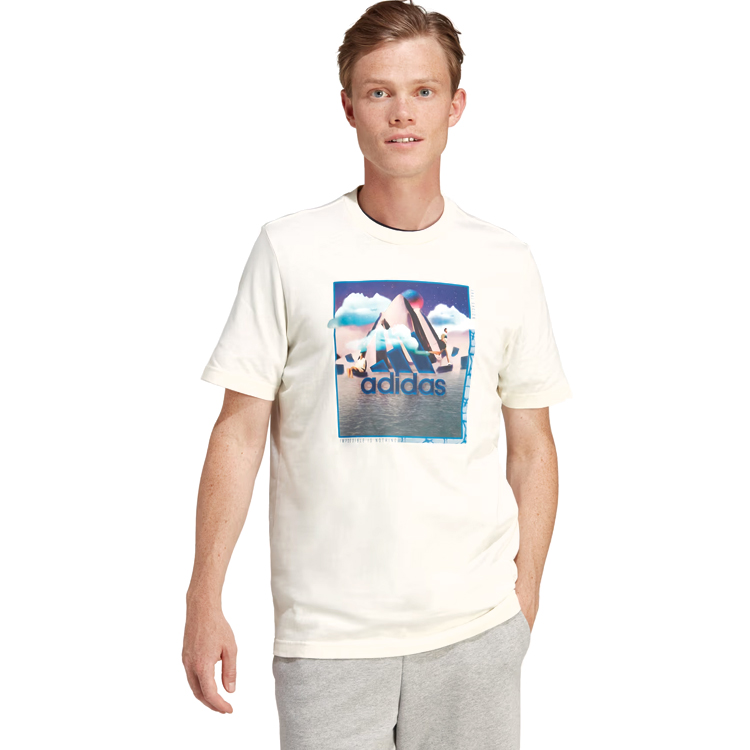 Футболка мужская Adidas M LANDSCAPE BOS XS Бежевый photo 5