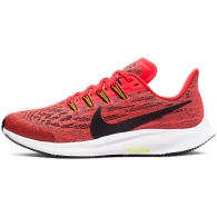 Кроссовки Nike AR4149-619, NIKE AIR ZOOM PEGASUS 36 GS thumbnav