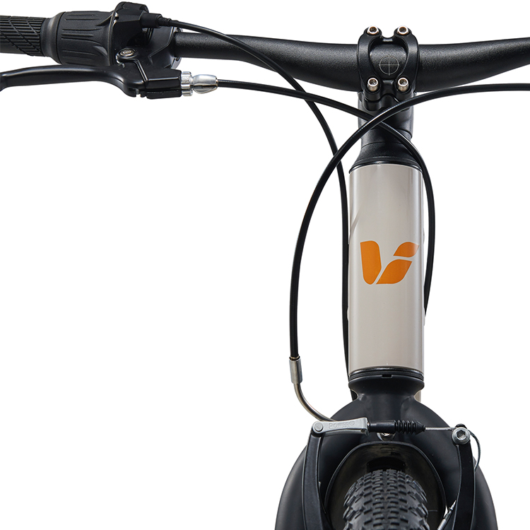 Bicicleta pentru copii GIANT Tempt 24 Lite photo 4