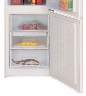 Холодильник двухдверный Beko CSA29020 / 262 л / 171 см / A+ / Белый photo 3