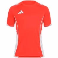 Футболка Adidas TIRO25C TR JSY