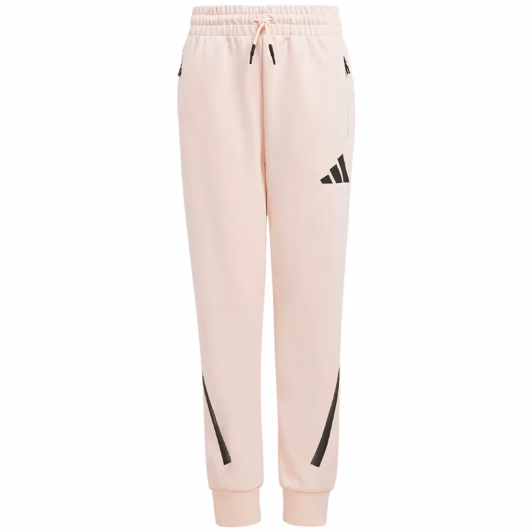 Брюки Adidas J Z.N.E. PT