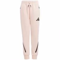 Брюки Adidas J Z.N.E. PT