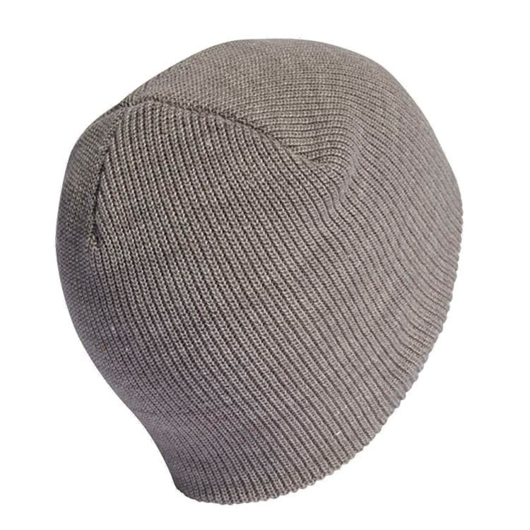 Caciula Adidas ESS BEANIE OSFC Inox photo 2