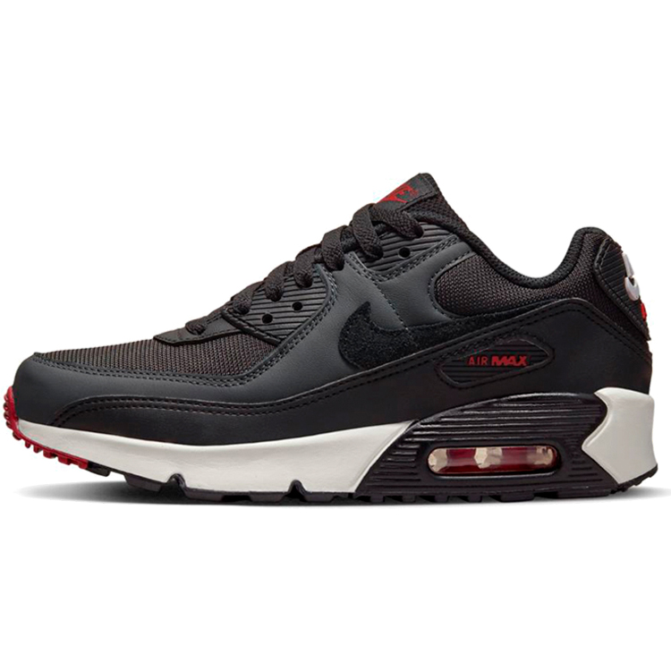 Incaltaminte Sport Nike AIR MAX 90 LTR (GS) photo 
