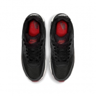 Кроссовки Nike AIR MAX 90 LTR (GS) thumbnav 2