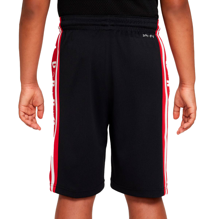 Шорты Nike AIR JORDAN HBR BBALL SHORT S Черный Мужской photo 5