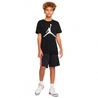 Шорты Nike AIR JORDAN HBR BBALL SHORT thumbnav 4
