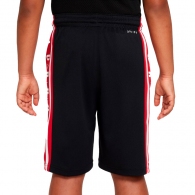 Шорты Nike AIR JORDAN HBR BBALL SHORT thumbnav 5