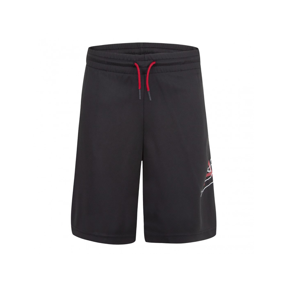 Шорты Nike JUMPMAN BIG AIR MESH SHORT photo Шорты Nike JUMPMAN BIG AIR MESH SHORT photo