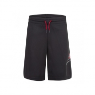 Шорты Nike JUMPMAN BIG AIR MESH SHORT thumbnav