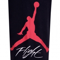 Брюки Nike JDN JUMPMAN BASELINE PANT thumbnav 4