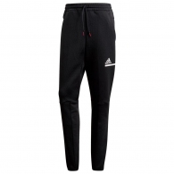 Брюки Adidas ZNE AERORDY Pnt thumbnav