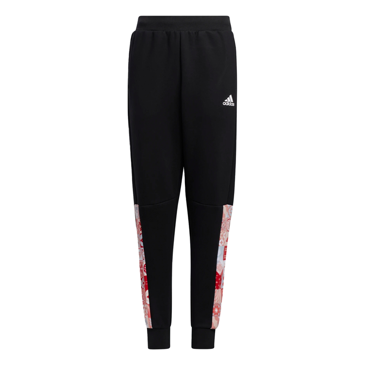 Pantaloni Adidas JK CNY PE PNT photo 