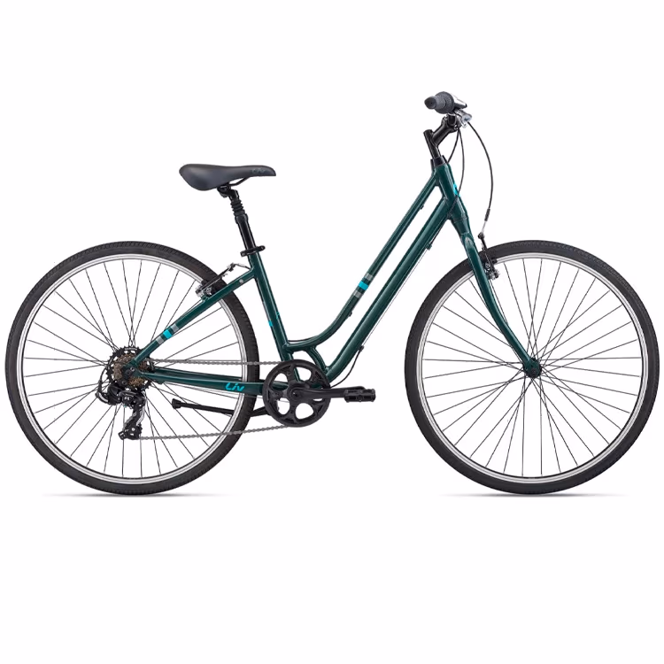 Bicicleta Aventure Liv Flourish 4