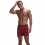 Шорты для плавания Speedo PRIME LEIS 16  WS AM thumbnav 1