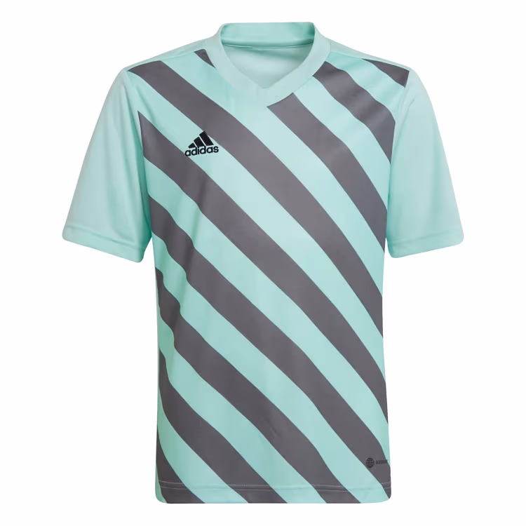 Tricou Adidas ENT22 GFXJSYY