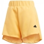 Шорты Adidas W Z.N.E.  SHORT thumbnav 1