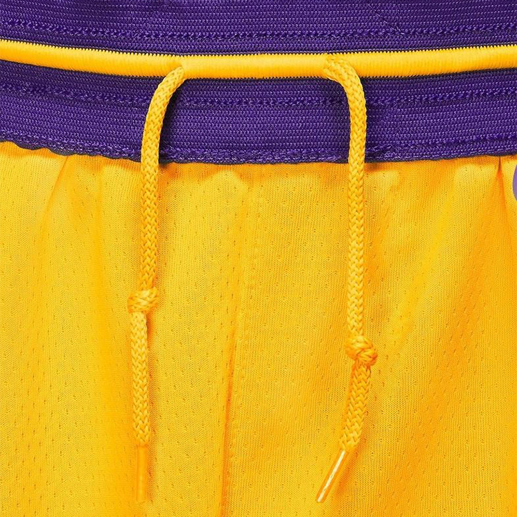 Шорты мужские Nike LAL M NK SWGMN SHORT ROAD S Желтый photo 8