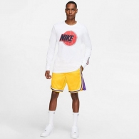 Шорты Nike LAL M NK SWGMN SHORT ROAD thumbnav 10
