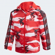 Толстовка Adidas LB DY SM WB thumbnav