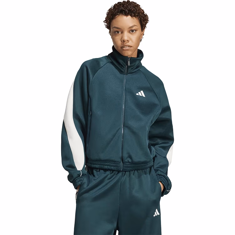 Толстовка Adidas W STADIUM TT