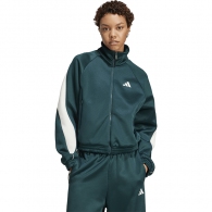 Толстовка Adidas W STADIUM TT thumbnav 1