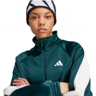 Толстовка Adidas W STADIUM TT thumbnav 5