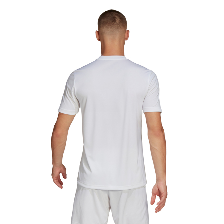 Футболка мужская Adidas ENT22 GFX JSY S Белый photo 6
