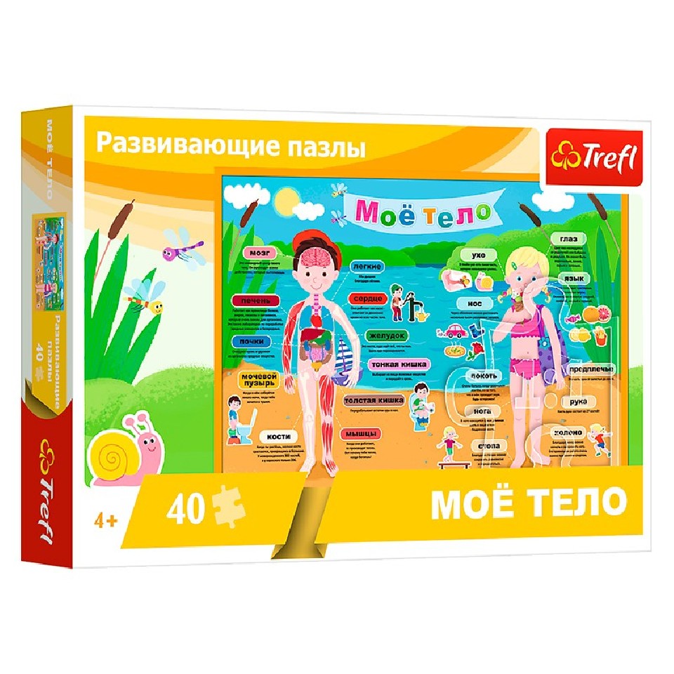 Trefl 15528 Puzzle 40 Educational My Body Ru photo 1 Trefl 15528 Puzzle 40 Educational My Body Ru photo 1