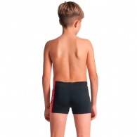 Slipi Arena PALETTE SWIM SHORT thumbnav 2