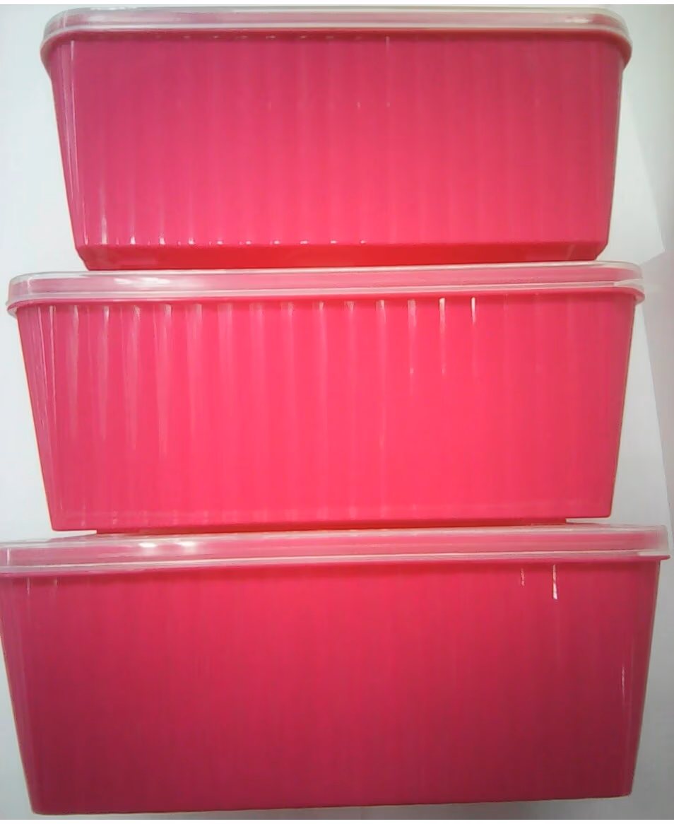 Container p/u cuptorul cu microunde Nova 113830 