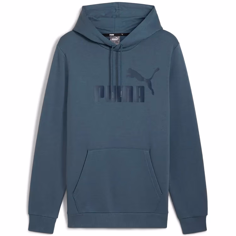 Толстовка Puma ESS Big Logo Hoodie FL 
