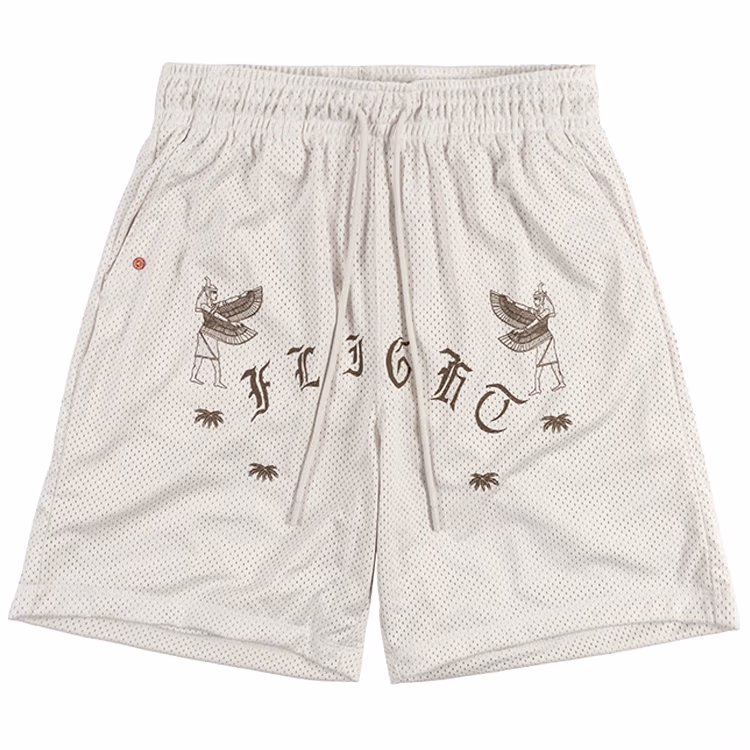 Шорты Nike M J FLT ARTST SRS MESH SHORT