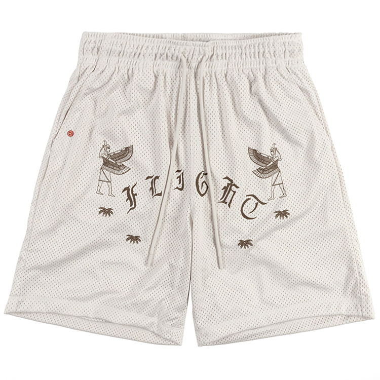Шорты Nike M J FLT ARTST SRS MESH SHORT photo Шорты Nike M J FLT ARTST SRS MESH SHORT photo