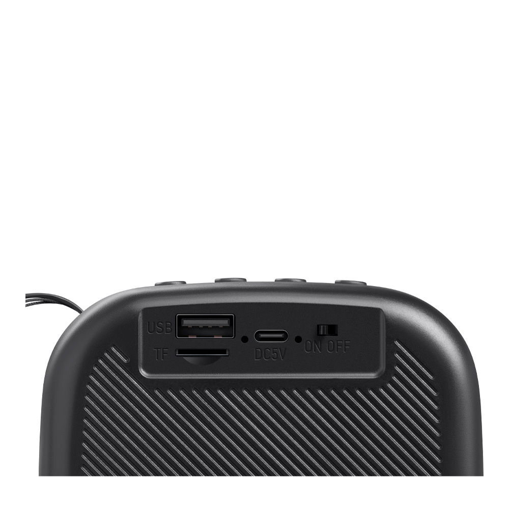 Портативная колонка Defender Enjoy 30 (65930) Black photo 3