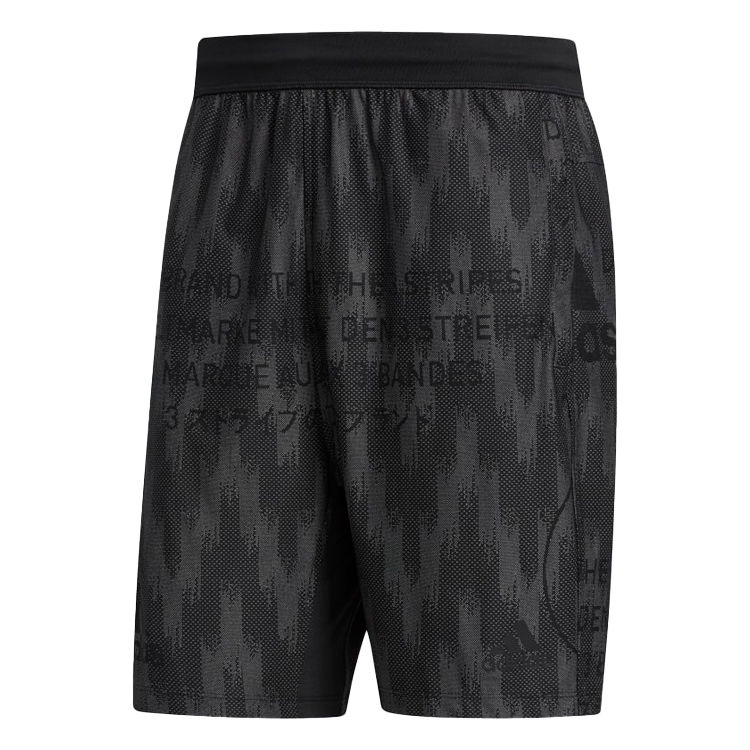 Шорты Adidas CITY KNIT SHORT photo Шорты Adidas CITY KNIT SHORT photo
