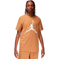 Шорты Nike M J DF SPRT MESH SHORT thumbnav