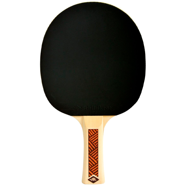 Paleta p/u tenis de masa Donic CHAMPS LINE 300 photo 2