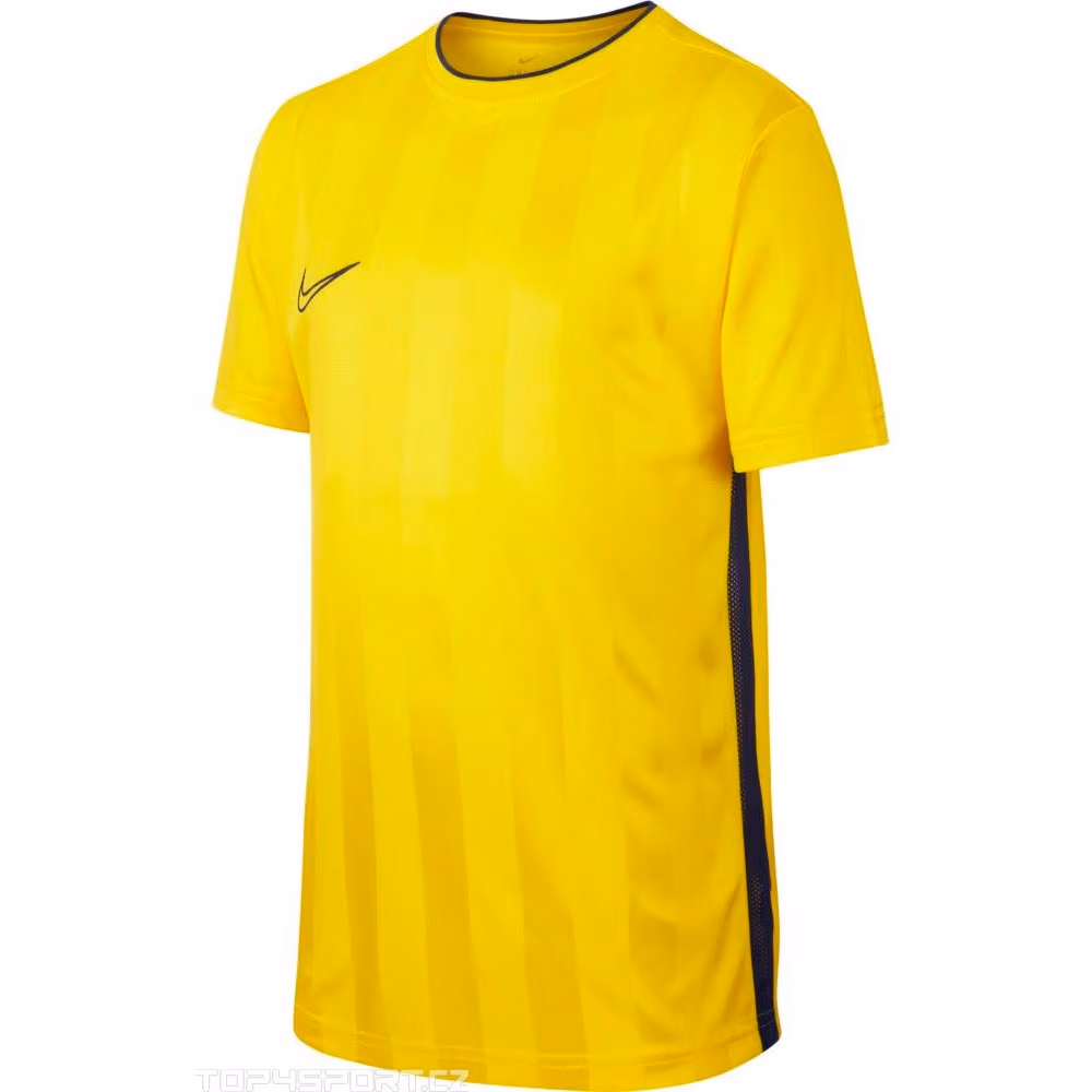 Футболка Nike B NK BRT ACDMY TOP SS GX2