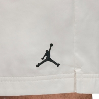 Шорты Nike M J POOLSD LBR 5IN thumbnav 7