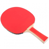 Set pentru tenis de masa cu minge Donic Appelgren 300 Set thumbnav 6